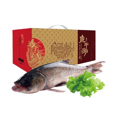 查干湖-壹號胖頭魚禮盒